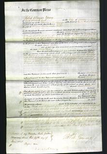 Court of Common Pleas - Sarah Norton-Original Ancestry