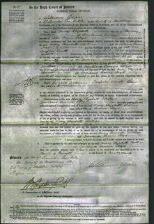 Court of Common Pleas - Mary Elizabeth Clothier, Constance Emma Lloyd-Original Ancestry