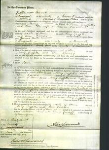 Court of Common Pleas - Mary Griffiths and Ann Davies-Original Ancestry