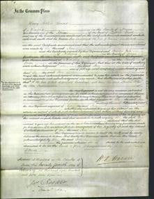 Court of Common Pleas - Ann Sandercock-Original Ancestry