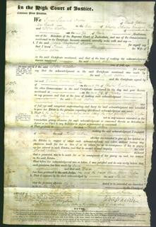 Court of Common Pleas - Sarah Allen-Original Ancestry