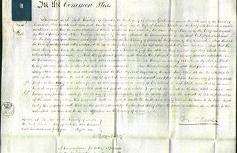 Court of Common Pleas - Mary Ann Coombe-Original Ancestry