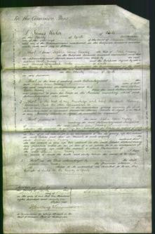 Court of Common Pleas - Sophia Anne Nussey-Original Ancestry