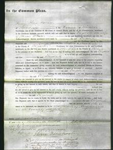 Court of Common Pleas - Elizabeth Wheeler-Original Ancestry