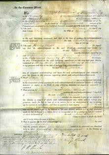 Court of Common Pleas - Jane Bond-Original Ancestry