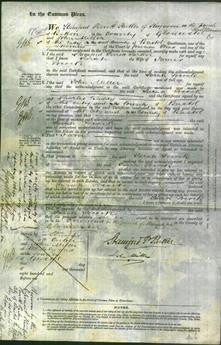 Court of Common Pleas - Sarah Pocock-Original Ancestry