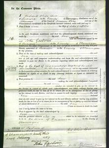 Court of Common Pleas - Jane Griffiths-Original Ancestry