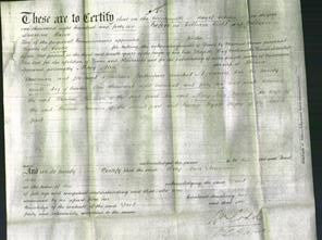 Court of Common Pleas - Mary Ann Newman-Original Ancestry