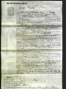 Court of Common Pleas - Frances Elizabeth Harwood and Emma Cooper-Original Ancestry