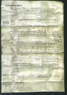 Court of Common Pleas - Elizabeth Buttrick, Penelope Kelsey and Sarah Wates-Original Ancestry