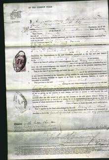 Court of Common Pleas - Mary Ann Wood-Original Ancestry