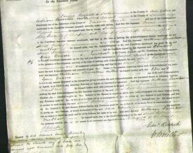 Court of Common Pleas - Sarah Walmsley-Original Ancestry