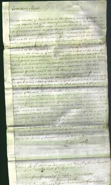 Court of Common Pleas - Frances Blake-Original Ancestry