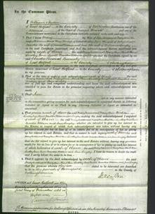 Court of Common Pleas - Mary Woodward, Mary Ann Hind, Ann Lindley, Jane Small, Martha Aldam and Jane Longley-Original Ancestry