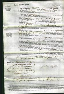 Court of Common Pleas - Jemima Spear-Original Ancestry