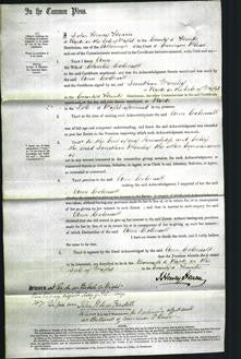 Court of Common Pleas - Ann Colenutt-Original Ancestry