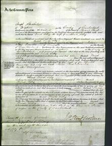 Court of Common Pleas - Dinah Selby-Original Ancestry