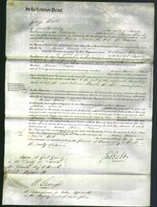 Court of Common Pleas - Maria Trowes-Original Ancestry