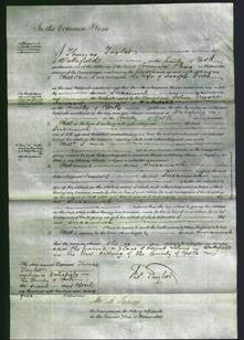 Court of Common Pleas - Susannah Firth-Original Ancestry