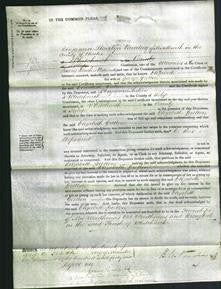 Court of Common Pleas - Elizabeth Gretton-Original Ancestry