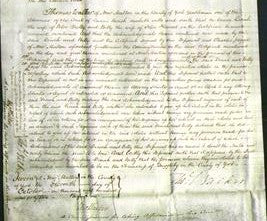 Court of Common Pleas - Dinah Bielby and Betty Heward-Original Ancestry