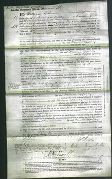 Court of Common Pleas - Frances Appleby-Original Ancestry