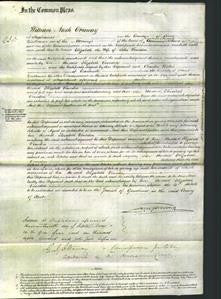 Court of Common Pleas - Elizabeth Donsdon-Original Ancestry