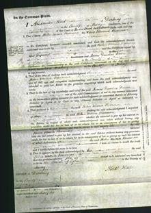 Court of Common Pleas - Helen Maria Boorman-Original Ancestry