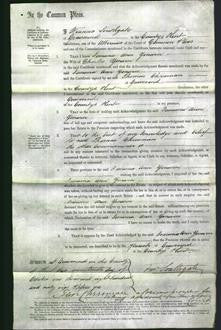 Court of Common Pleas - Jemima Ann Yonwin-Original Ancestry
