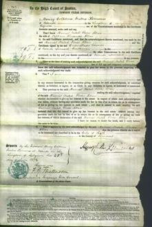 Court of Common Pleas - Harriet Walsh Porter Allan-Original Ancestry