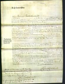 Court of Common Pleas - Mary Hodgson-Original Ancestry