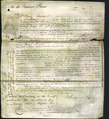 Court of Common Pleas - Mary Bailey-Original Ancestry