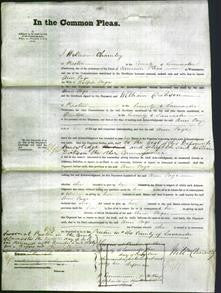 Court of Common Pleas - Ann Page-Original Ancestry