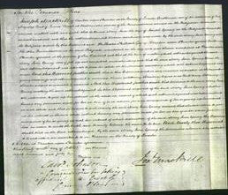 Court of Common Pleas - Mary Jane Young-Original Ancestry