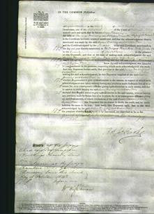 Court of Common Pleas - Susan Downing and Susan Drew-Original Ancestry