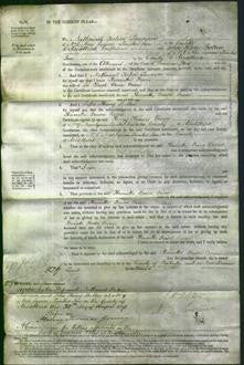 Court of Common Pleas - Henrietta Fraser Owen-Original Ancestry