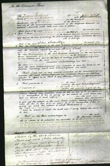 Court of Common Pleas - Eliza Barnsdale-Original Ancestry