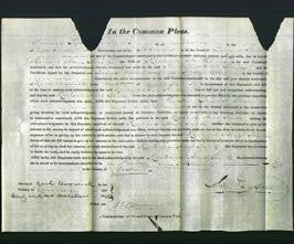 Court of Common Pleas - Rachael Anne Smith-Original Ancestry