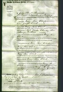 Court of Common Pleas - Mary Ann Clarke-Original Ancestry