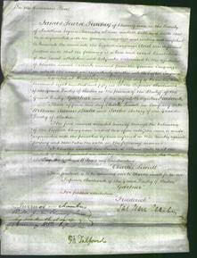 Court of Common Pleas - Frances Blake-Original Ancestry