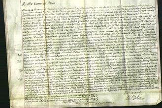Court of Common Pleas - Elizabeth Morris, Mary Davies, Elizabeth Griffiths and Elizabeth Morris-Original Ancestry