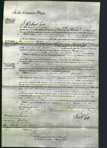 Court of Common Pleas - Sarah Clark-Original Ancestry