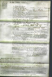Court of Common Pleas - Irena Mary Ireland-Original Ancestry