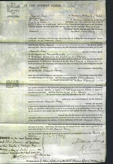 Court of Common Pleas - Hannah Parry-Original Ancestry