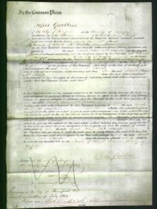 Court of Common Pleas - Sarah Ann McMurde-Original Ancestry