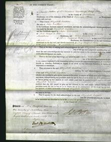 Court of Common Pleas - Elizabeth Good Carthew-Original Ancestry