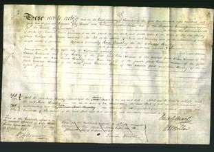 Deed by Married Women - Ann Bradley-Original Ancestry