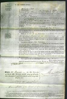 Court of Common Pleas - Ann Wiltshire-Original Ancestry