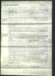 Court of Common Pleas - Jane Candler-Original Ancestry