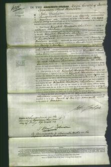 Court of Common Pleas - Elizabeth Henderson Whinham-Original Ancestry